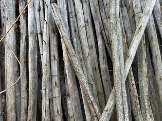 Similar image 21896465