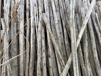 Similar image 21896466