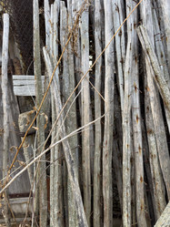 Similar image 21896467