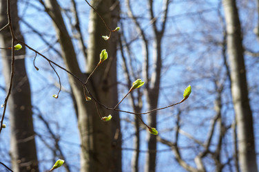 Similar image 21895301