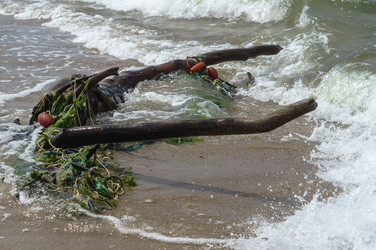 Similar image 21895304