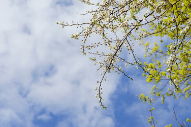 Similar image 21898827