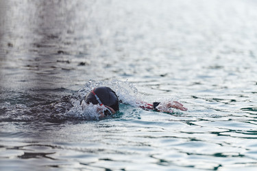 Similar image 21904506