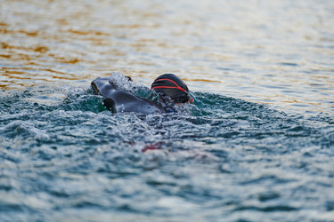 Similar image 21905497