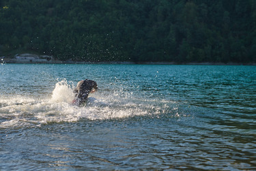 Similar image 21906090