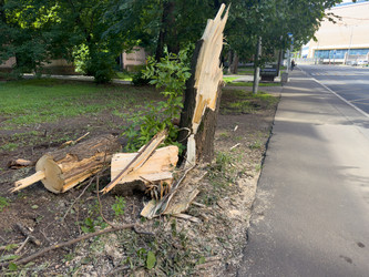 Similar image 21896474