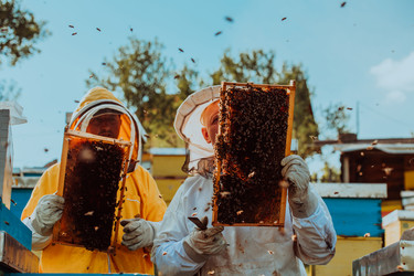 Similar image 21903899