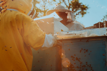 Similar image 21904551