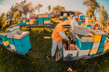 Similar image 21905532