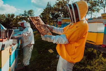 Similar image 21904148