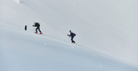 Similar image 21903912