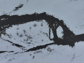 Similar image 21904442