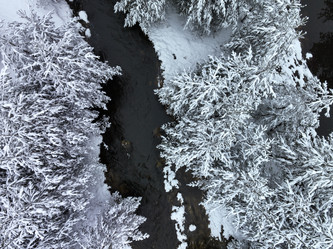 Similar image 21904616