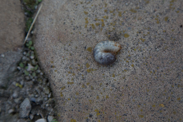 Similar image 21910990