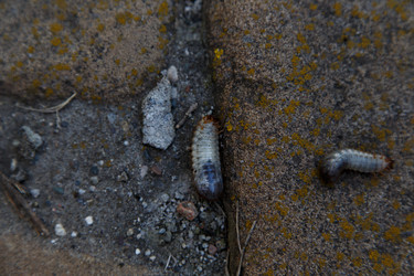 Similar image 21910991