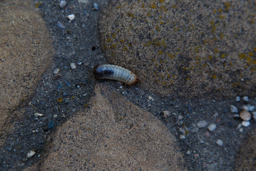 Similar image 21910994