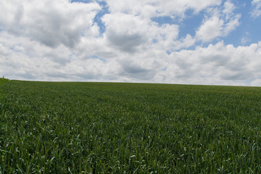 Similar image 21906592