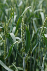 Similar image 21910998