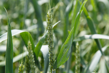 Similar image 21910999