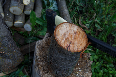 Similar image 21911000