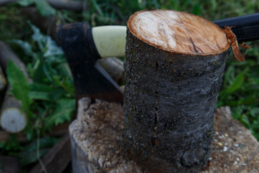 Similar image 21911001