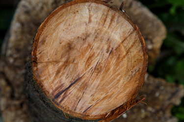 Similar image 21911002