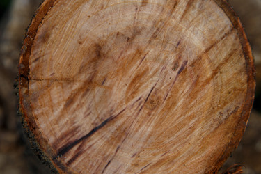 Similar image 21911003