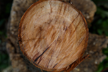 Similar image 21911004