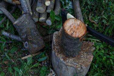 Similar image 21911006