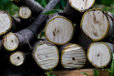 Similar image 21906593