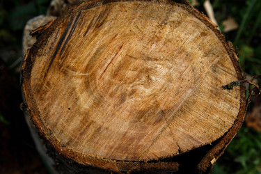 Similar image 21894868