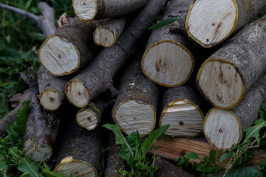 Similar image 21894871