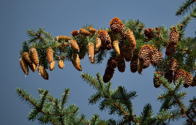 Similar image 21907954