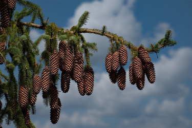 Similar image 21907957