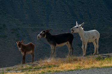 Similar image 21907960