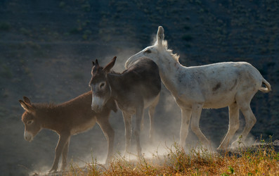 Similar image 21907961