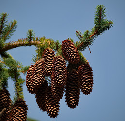 Similar image 21907963