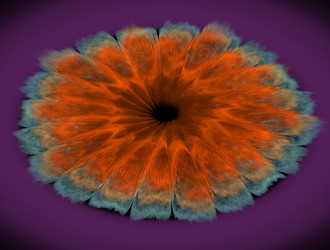 Similar image 21906242
