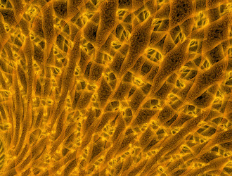 Similar image 21906352