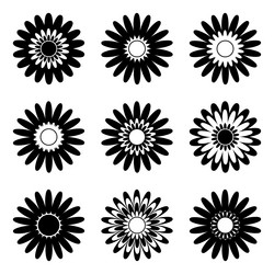 Similar image 21901837