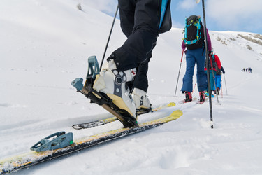 Similar image 21905609