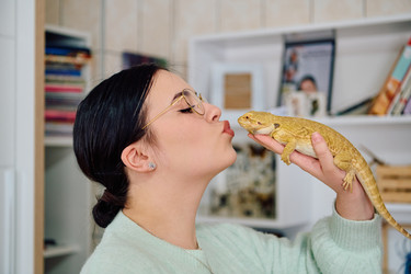 Similar image 21904650