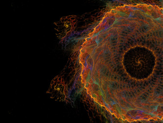 Similar image 21906355