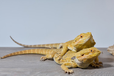 Similar image 21905645