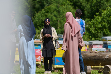 Similar image 21904275