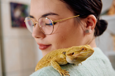 Similar image 21906053