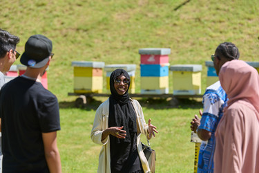 Similar image 21904669