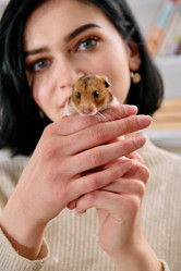 Similar image 21904379