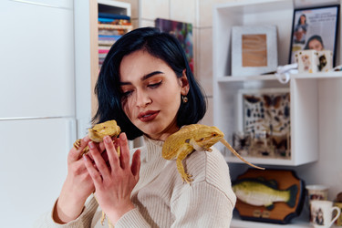 Similar image 21904679