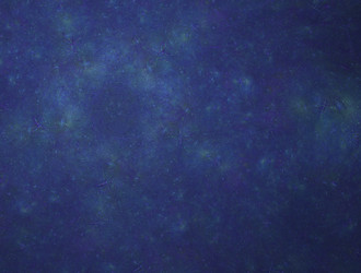 Similar image 21906487